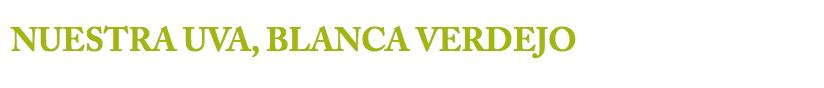 vinos de verdejo